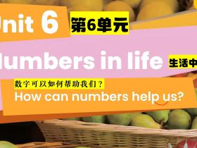 第62-63页(新人教版PEP三年级下册)